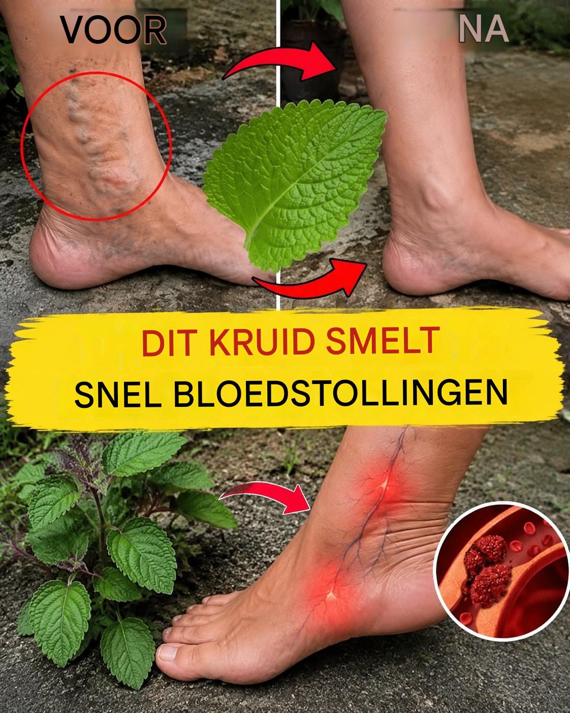 Recepten met munt, artisjok, knoflook en kurkuma om de bloedvaten te reinigen
