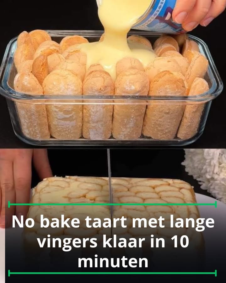 No bake taart met lange vingers klaar in 10 minuten