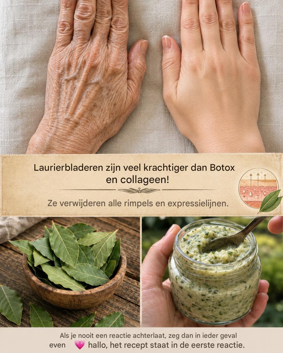 Laurierblad: het natuurlijke geheim voor een jeugdige, rimpelvrije huid ✨