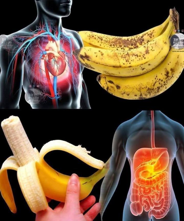 Wist je dat het eten van bananen de gezondheid bevordert…? Lees meer