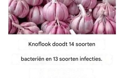 Knoflookrechten