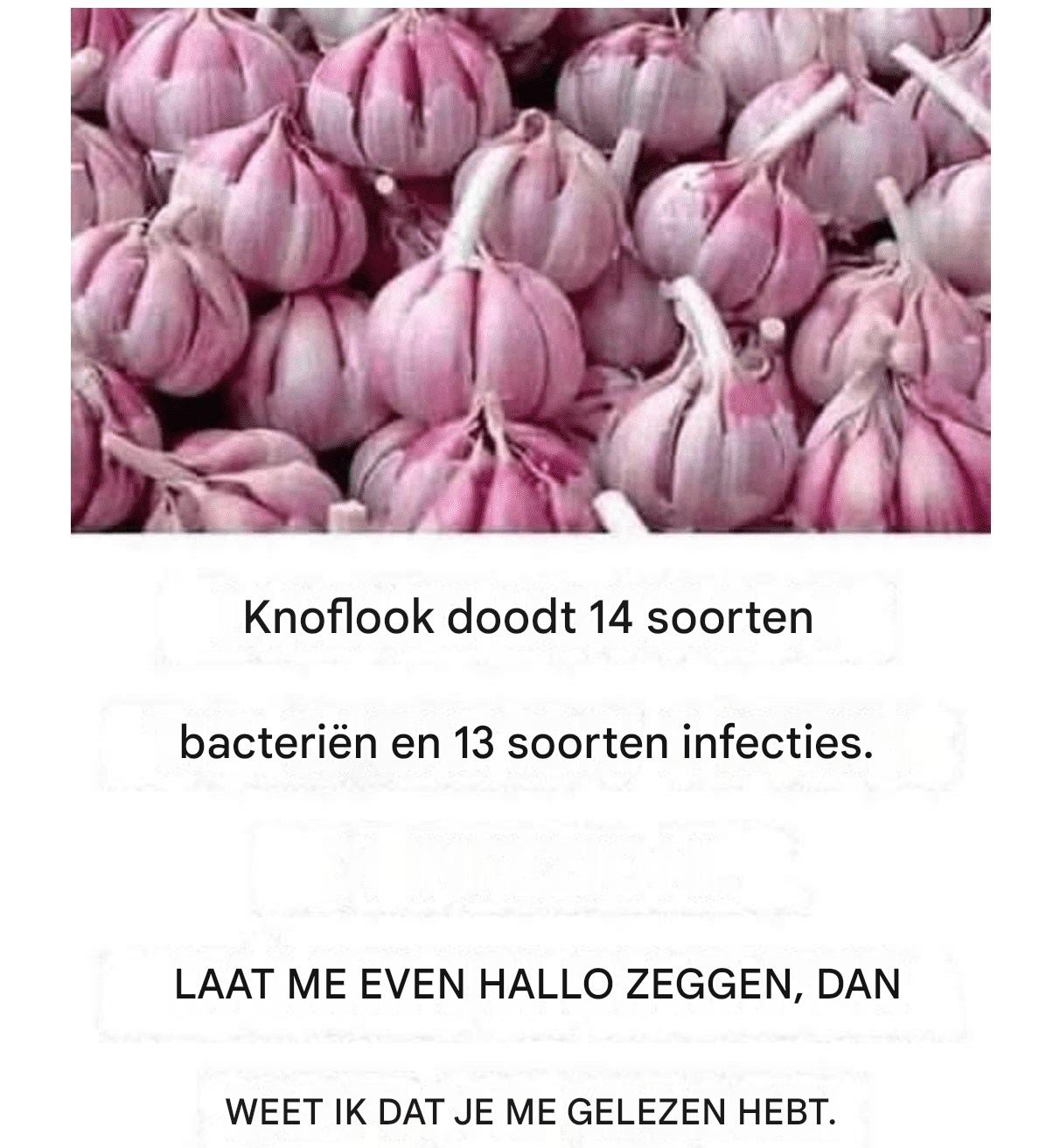 Knoflookrechten