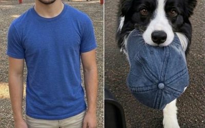 In het park kwam een ​​hond op me afgerend met de spijkerpet van mijn vermiste zoon in zijn bek. Toen ik de pet omdraaide, riep de eigenaar: ‘Wie heeft je gezegd dat je erin moest kijken?’