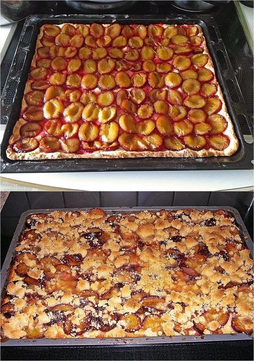 Pruimencake van een bakplaat in 10 minuten in de oven